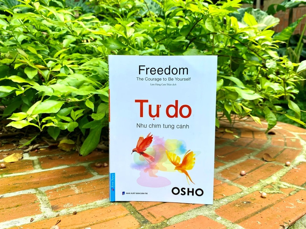 Tự do – như chim tung cánh: Tự do không đến một mình, nó luôn đi cùng với trách nhiệm