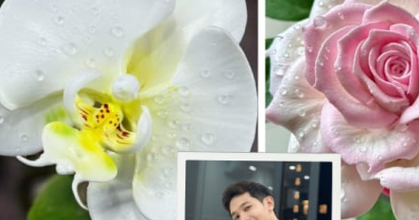 Chàng trai làm hoa bằng bánh kem 'thật còn hơn cả hoa thật'