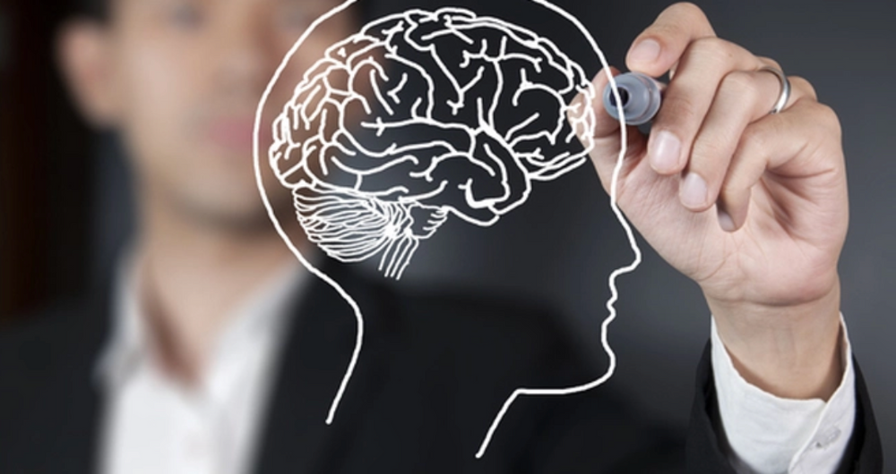4 cách phát triển não bộ, giúp IQ tăng vun vút, trở nên nhạy bén hơn