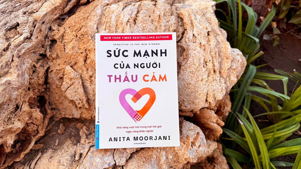 Sức mạnh của người thấu cảm - Người thấu cảm và cái bẫy của lòng bao dung mù quáng