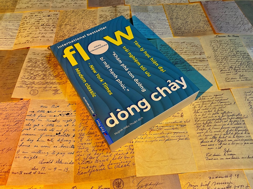 Flow - Dòng chảy : Hạnh phúc có thực sự đến từ tiền bạc và danh tiếng?