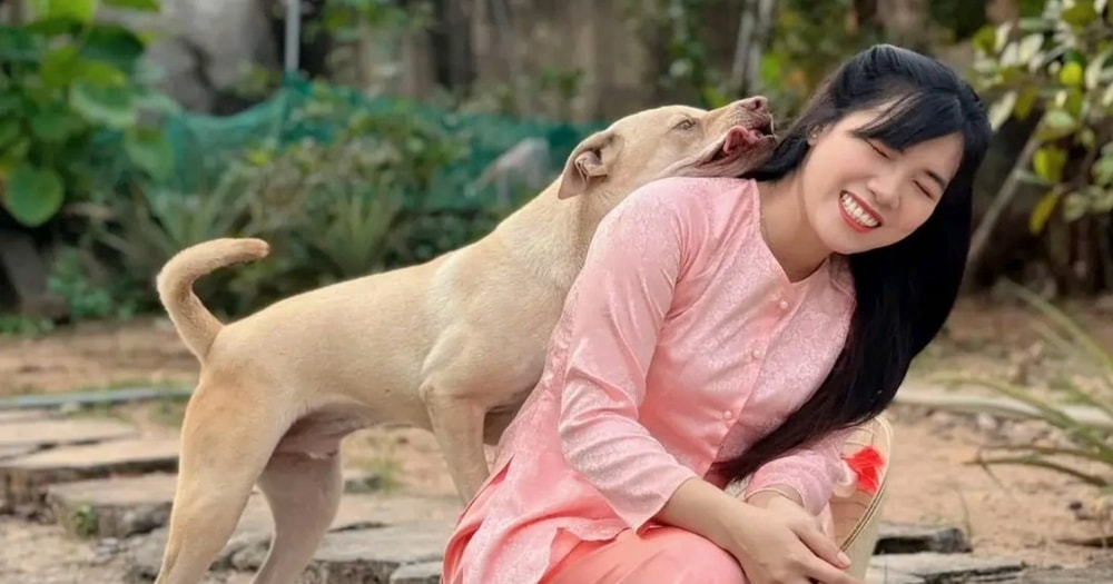 Cô gái Đồng Nai và đàn thú cưng "chó méo miệng, mèo hướng nội" gây sốt mạng
