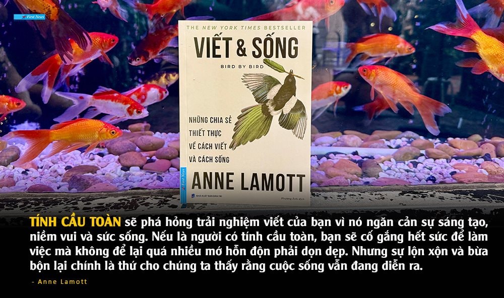 Không phải bạn viết dở. Bạn đang để “tính cầu toàn” giữ mình đứng yên