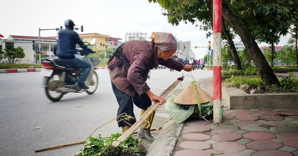 Phát hoảng khi biết gia cảnh bà cụ bán rau mà ngày nào tôi cũng mua ủng hộ