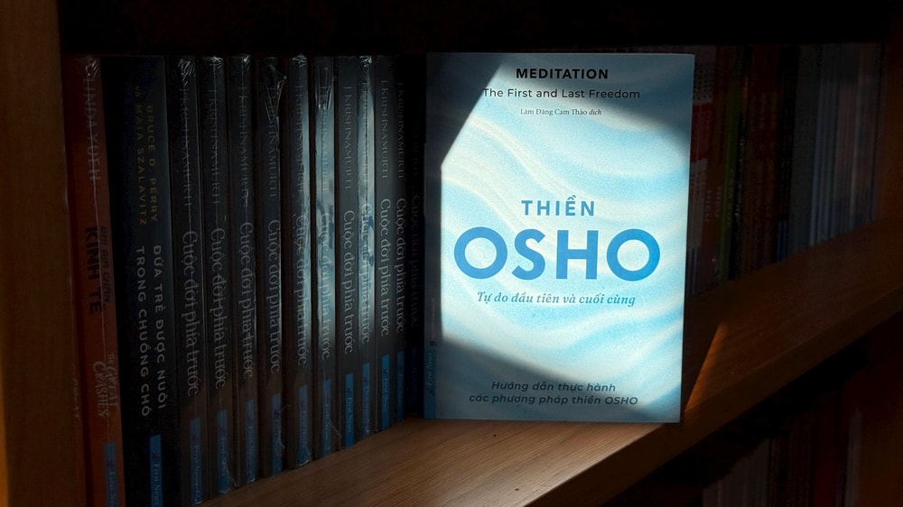 Âm nhạc trong thiền Osho: Vì sao chuyển động và rung động là chìa khóa định tâm?