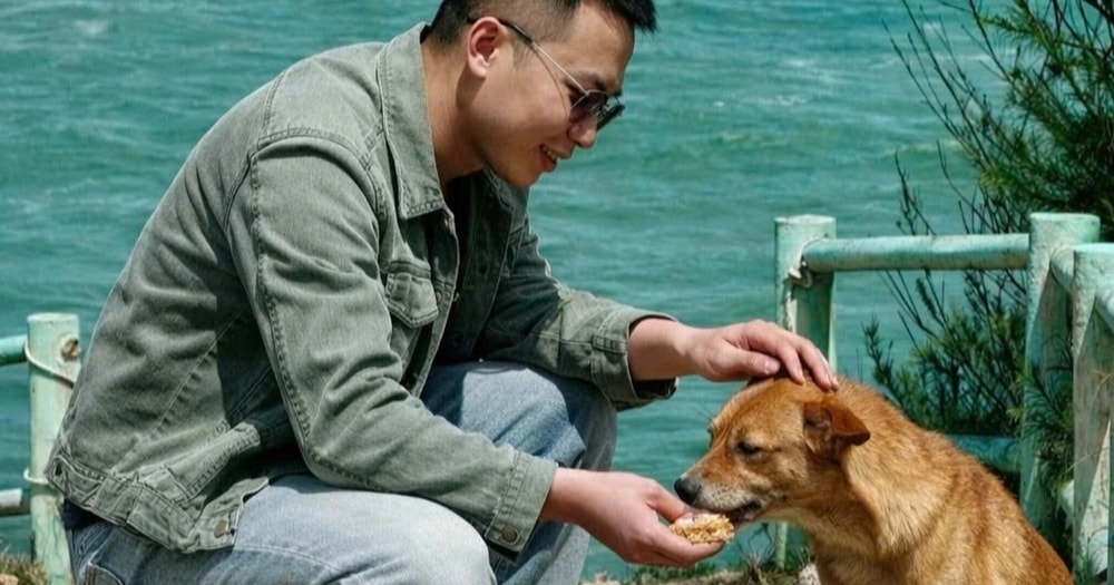 Chú chó ở Phú Yên gây sốt vì chỉ đường cho khách như hướng dẫn viên