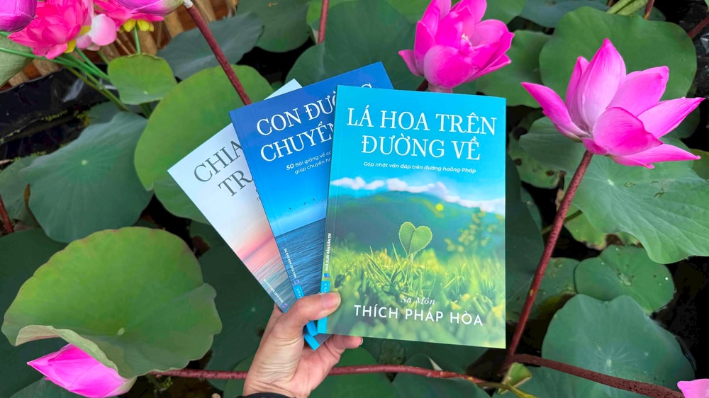 Lá hoa trên đường về – Khi người ta thôi chạy và bắt đầu quay lại