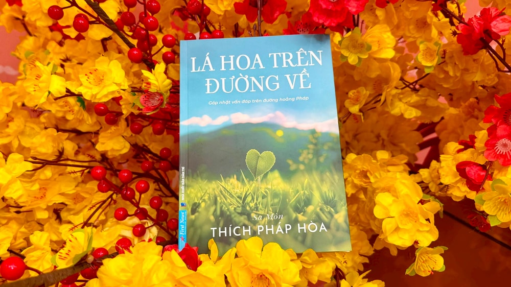Lá hoa trên đường về - Bị người khác làm điều xấu, có phải là do quả báo?