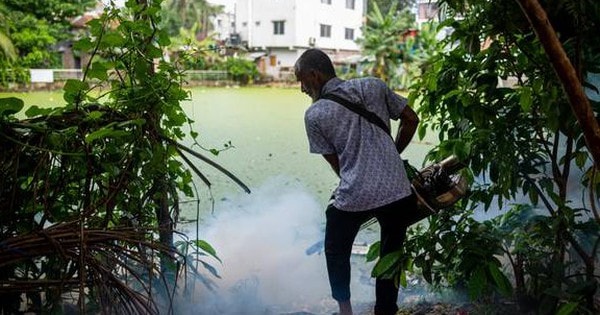Động vật nguy hiểm nhất thế giới giết chết hơn 1.000.000 người mỗi năm