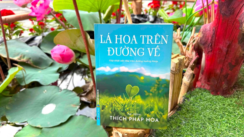 Lá hoa trên đường về - Những giải đáp giản dị cho hành trình tìm lại bình an mỗi ngày
