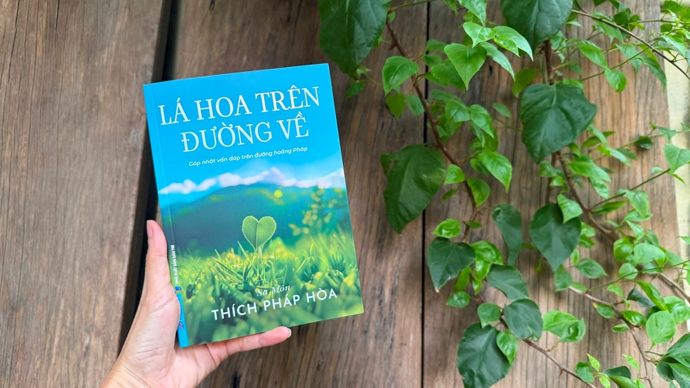 Lá hoa trên đường về - Vượt qua nỗi sợ 'nếu cả đời không rực rỡ'