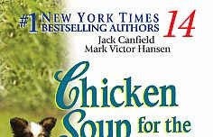 Chicken soup for the soul 14 - Quà tặng từ trái tim