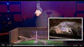 Màn trình diễn rùng rợn với bầy cá sấu của thí sinh America's Got Talent
