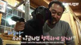 Haneul – Cô chó làm bồi bàn ở quán ăn