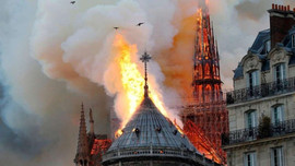 Sao Việt bày tỏ sự nuối tiếc khi nghe tin nhà thờ Đức Bà Paris chìm trong biển lửa