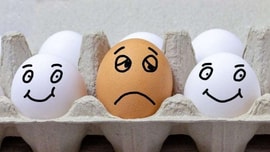 Bác bỏ quan niệm ăn trứng là có hại
