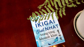 Ikigai - Chất Nhật trong từng khoảnh khắc