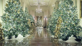 58 cây thông thắp sáng Giáng sinh tại Nhà Trắng Mỹ