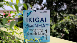 Cảm hứng sống tích cực với “chất Nhật” ikigai