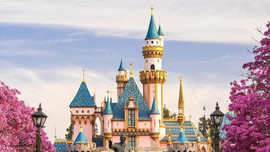 Lo ngại dịch COVID-19, Disneyland ở Mỹ đóng cửa