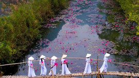 Khoảnh khắc đẹp nhất mùa xuân năm 2020 gọi tên nhiếp ảnh gia Việt Nam