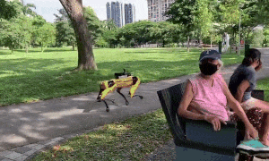 Clip: Nhiều người “bỏ chạy” khi thấy robot đi tuần trong công viên