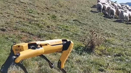 Clip robot chó chăn cừu và kiểm tra cây trồng