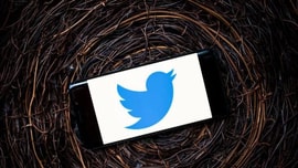 Twitter diệt 7.000 tài khoản truyền bá thuyết âm mưu chống lại Tổng thống Trump