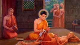 Sai đệ tử lấy nước tắm cho 1 người ốm, Đức Phật chỉ ra việc quan trọng cần phải làm để nhận được phúc báo