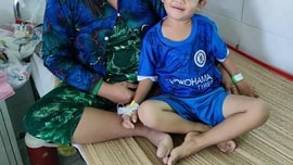 Cẩn thận với bệnh viêm màng não vì nuôi thú cưng trong nhà