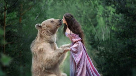 Chú gấu mồ côi bỗng trở thành “người mẫu ăn khách”