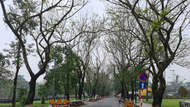 Nhiều tuyến phố đi bộ sẽ được hình thành ở Huế trong năm 2021
