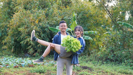 Vợ rủ chồng bỏ Sài Gòn lên rừng trồng macca và cà phê, tiết lộ thu nhập tốt hơn khi ở thành phố