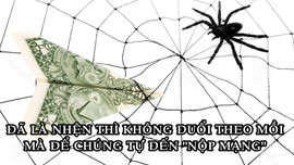 Bài học làm giàu đơn giản từ một con nhện, ai cũng nên đọc