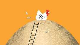Đẻ trứng thì còn sống, không đẻ thì vào nồi: Giá trị thâm thúy học từ đàn gà mái