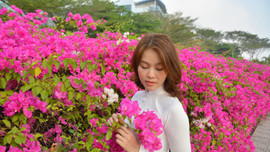 Giới trẻ tha hồ sống ảo bên tường hoa giấy cực đẹp ở Sài Gòn