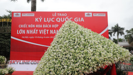 Kỷ lục Việt Nam bị giễu: Chưa bao giờ 'to nhất, dài nhất' rầm rộ như hiện nay