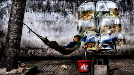 Nghệ sĩ nhiếp ảnh Việt Nam giành 2 huy chương cuộc thi ảnh quốc tế