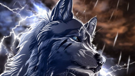 6 bản tính khôn ngoan của loài sói mà người thành công luôn lẳng lặng giấu kín!