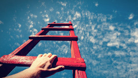 Bài thi hái táo của nhà tuyển dụng - Muốn đường đời thuận lợi, hãy tự dựng cho mình một chiếc thang