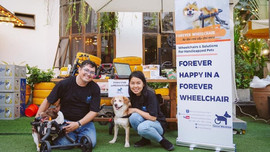 Những chú chó mèo khuyết tật 'hồi sinh' bên cặp vợ Việt chồng Tây chuyên sản xuất xe lăn cho thú cưng