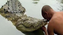 Cá sấu sống trong ngôi đền hơn 70 năm chưa từng tấn công người