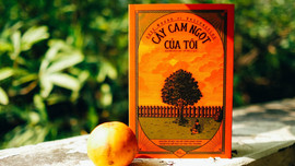 Muôn kiếp nhân sinh, Cây cam ngọt của tôi... Những cuốn sách bán chạy nhất Việt Nam