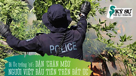 8 lần vào tù nước Úc của ông 'Trùm' người Việt - 15 tuổi vượt biên, trượt dài với ma túy