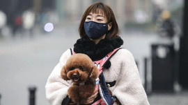 Giới trẻ Trung Quốc dành thời gian nuôi thú cưng thay vì kết hôn