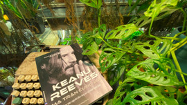 Ma trận cuộc đời Keanu Reeves – Khối rubik khó lý giải của Hollywood