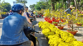 Chợ hoa xuân tại TP.HCM trước giờ “đóng cửa”: Hoa bán gần hết