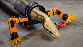 YouTuber gây sốc khi thiết kế chân robot cho… trăn