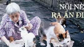 'Bà nội khùng' của đám mèo hoang ở Thảo Cầm Viên