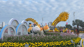 Video: Dáng xuân ở đường hoa cạnh cầu Rồng Đà Nẵng